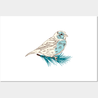 Winter Sparrow Posters and Art